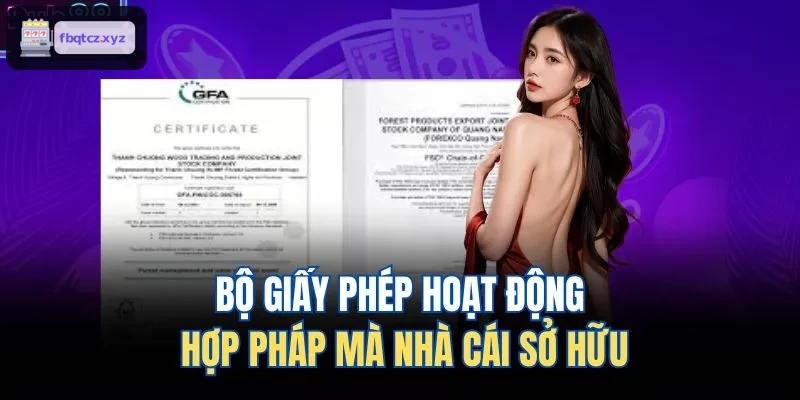 Các giấy phép hợp pháp mà ZOWIN sở hữu